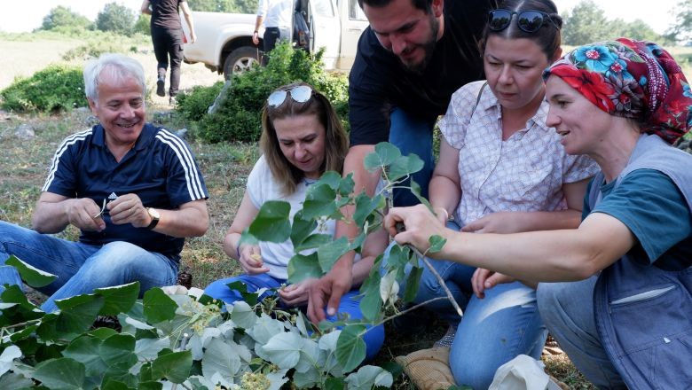Susurluk Doğal Güzelliklerinin Meyvesini Topluyor