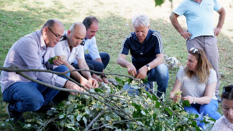 Susurluk Doğal Güzelliklerinin Meyvesini Topluyor