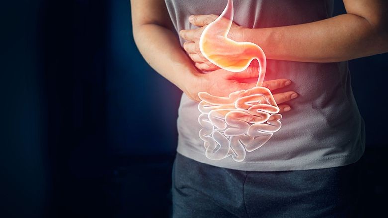 Stres Seviyesini Bağırsakta Yaşayan Virüsler Belli Ediyor