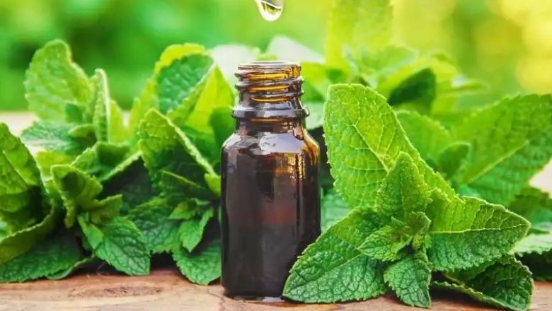 Aromaterapi Nedir?