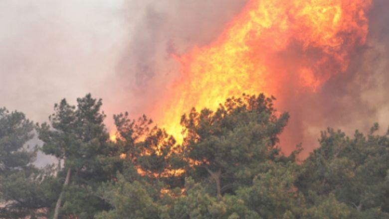 Çanakkale'de Büyük Orman Yangını