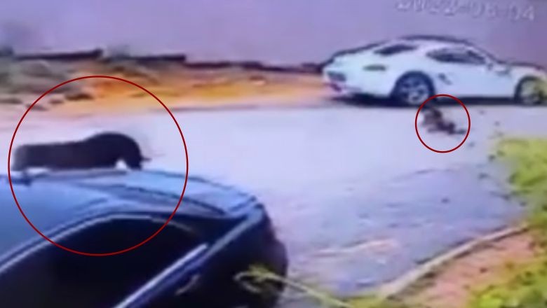 Dehşet Dolu Anlar: Kadınlar Saldırıya Maruz Kaldı