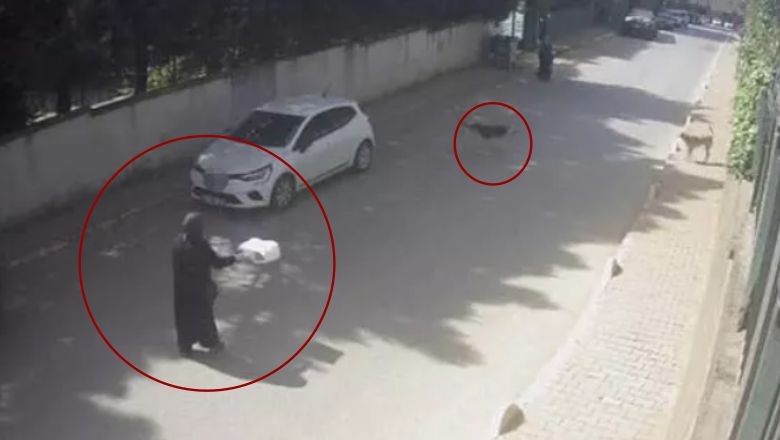 Dehşet Dolu Anlar: Kadınlar Saldırıya Maruz Kaldı