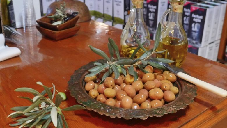 "Edremit Yeşil Çizik Zeytini" Dünya Çapında Marka Oluyor