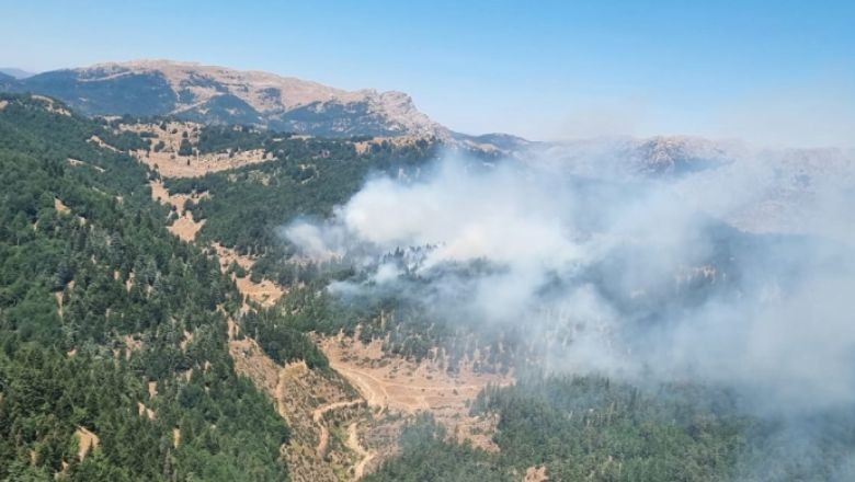 Kahramanmaraş'taki Yangın İki Noktada Devam Ediyor