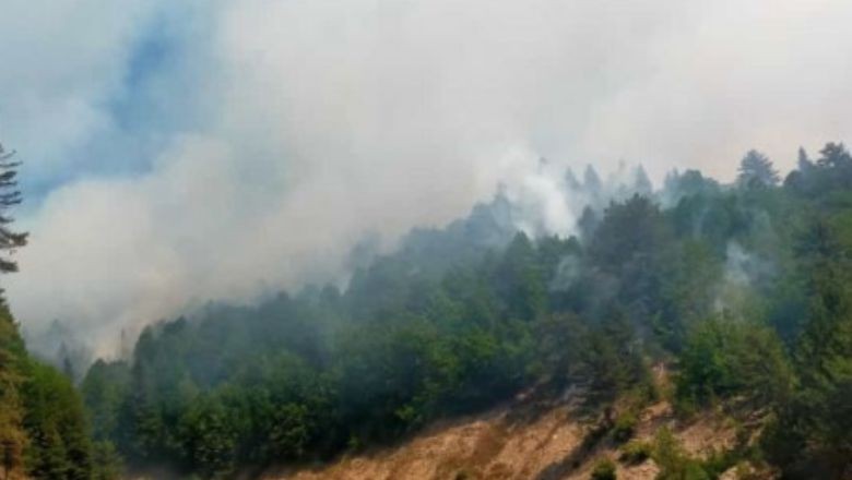 Kahramanmaraş'taki Yangın İki Noktada Devam Ediyor