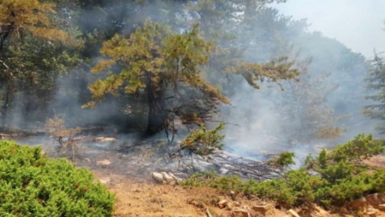 Kahramanmaraş'taki Yangın İki Noktada Devam Ediyor