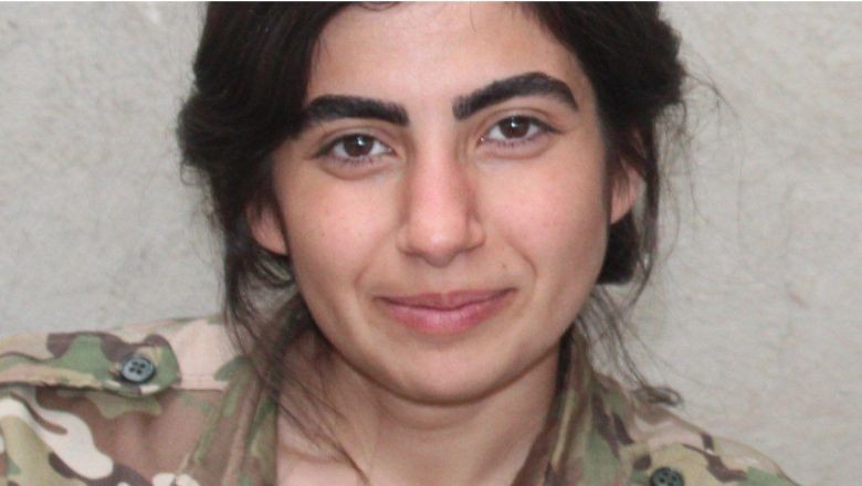 Mit Terör Örgütü Pkk'nın Sözde Sorumlusunu Etkisiz Hale Getirdi