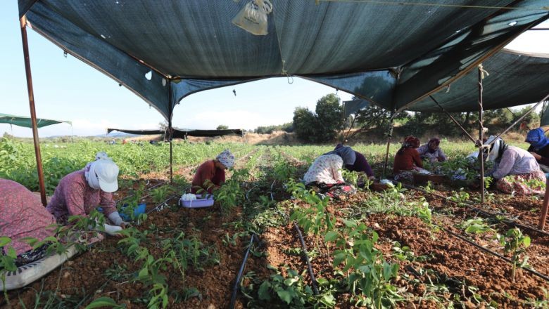 Balıkesir Bu Konuda Türkiye’nin 1.Sırasında Yer Alıyor