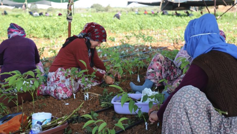 Balıkesir Bu Konuda Türkiye’nin 1.Sırasında Yer Alıyor