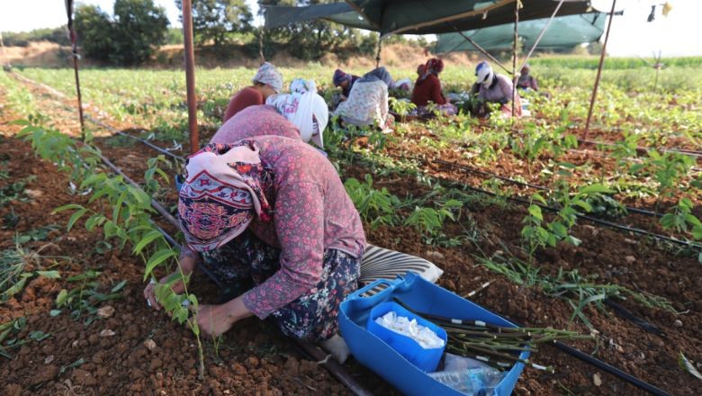 Balıkesir Bu Konuda Türkiye’nin 1.Sırasında Yer Alıyor