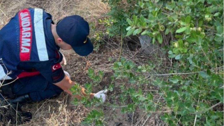 Balıkesir Erdek'te Uyuşturucu Operasyonları Devam Ediyor