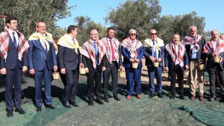 Balıkesir'de 18.Uluslararası Zeytin Hasat Festivali Başlıyor