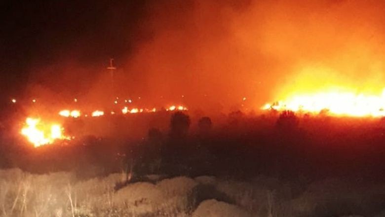 Balıkesir'de Araçta Yangın Çıktı: Ormana Sıçradı