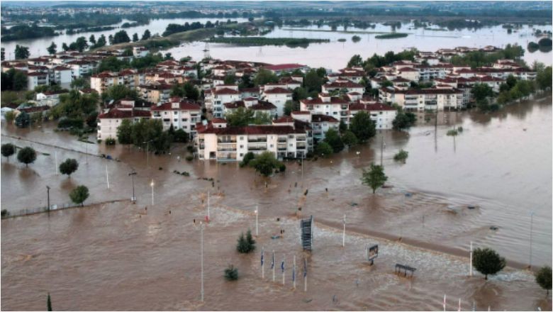 Sarhoş Koyun Sürüsünü Görenler Şaşkınlığını Gizleyemedi