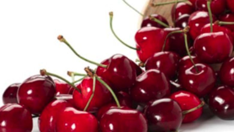 Vişne Çekirdeği Yağı Nedir ve Yararları Nelerdir ?