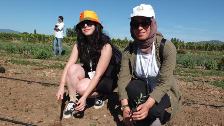 Balıkesir, Türkiye'nin Tıbbı Aromatik Bitki Eğitim Merkezi Oldu