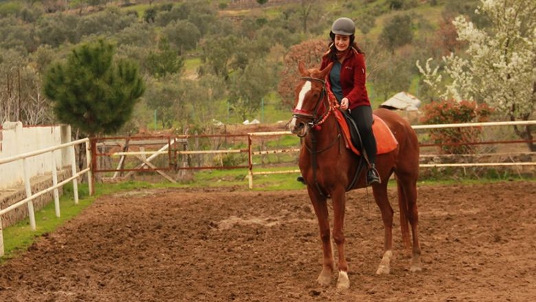 Balıkesir'deki At Çiftlikleri