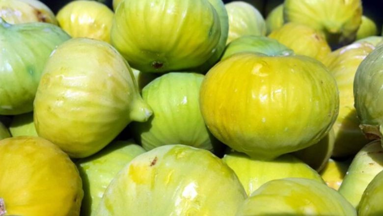 Lezzetin ve Sağlığın Kaynağı Balıkesir'de 