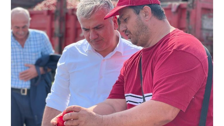 Vekil Canbey Domates Hasadında