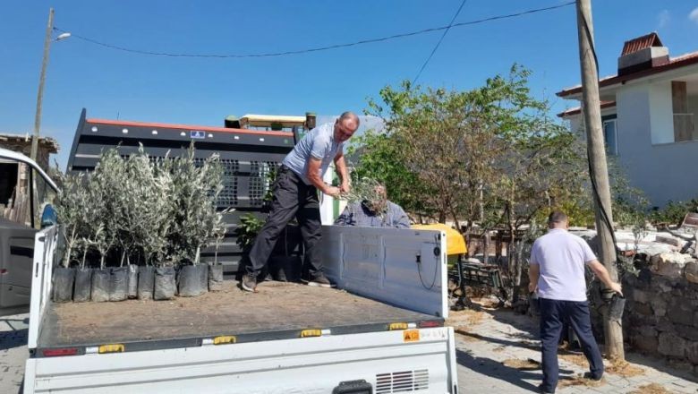 Edremit’ten, Çanakkale'ye 250 Fidan