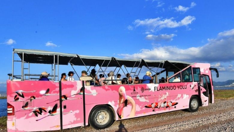 Türkiye'nin ilk Flamingo Festivali