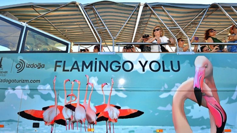 Türkiye'nin ilk Flamingo Festivali