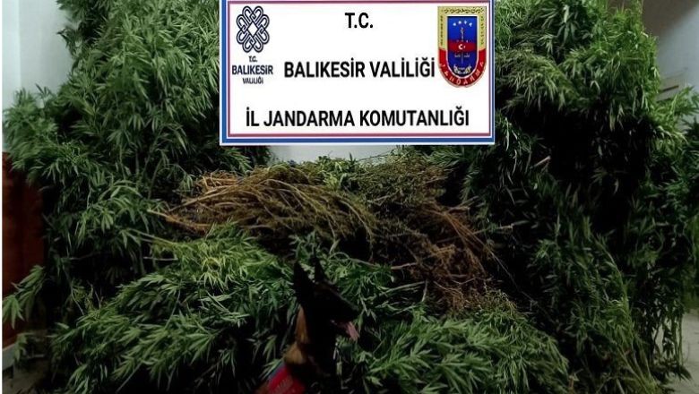 Kolluk Kuvvetleri Uyuşturucu Tacirlerine Göz Açtırmıyor