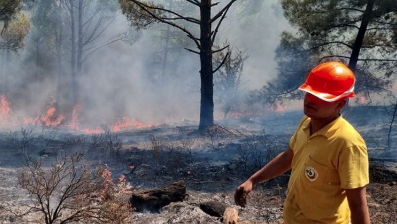 Muğla'da 36 Yerde Yangın