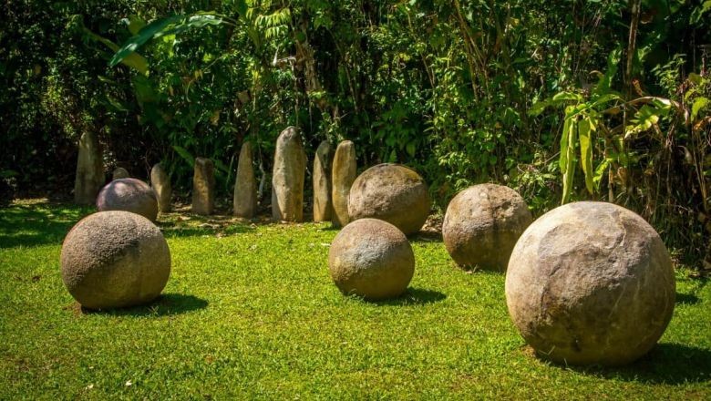 Ormanlarda Keşfedilen En İlginç 5 Şey