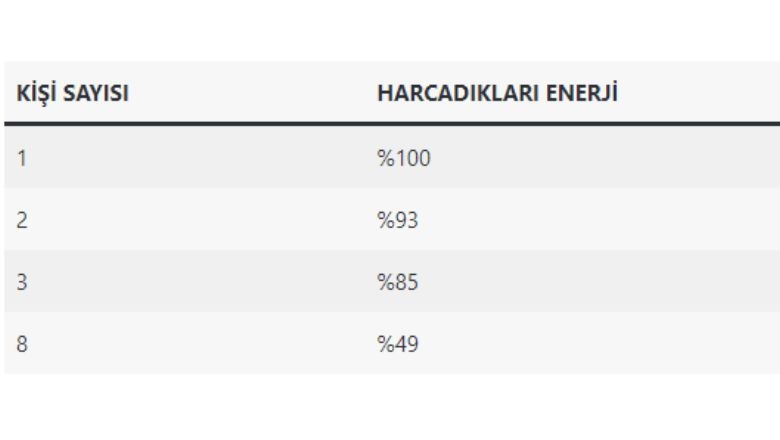 2 Adımla Ringelmann Etkisi