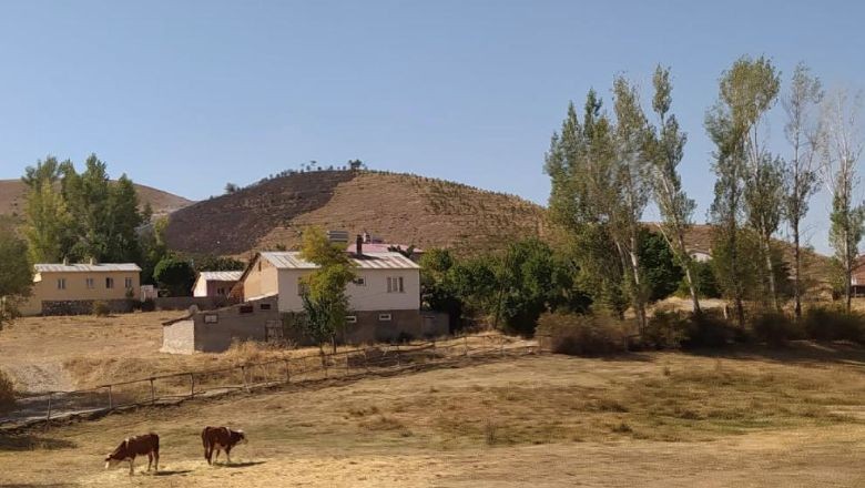 Diktiği 12 Bin Fidan Canına Mal Oldu!