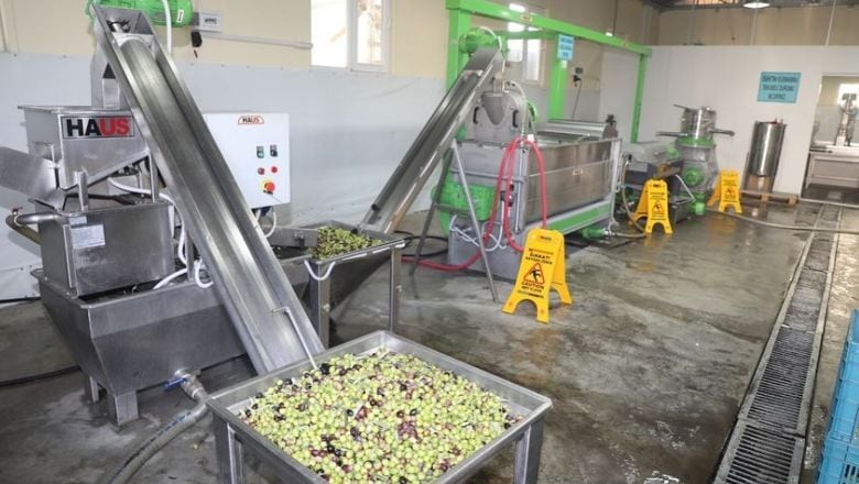 BAÜN ve Edremit Belediyesi Zeytincilikte Yeni Bir Dönemi Başlatıyor
