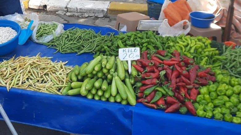 Balıkesir Cumartesi Pazarı Güncel Fiyatlar