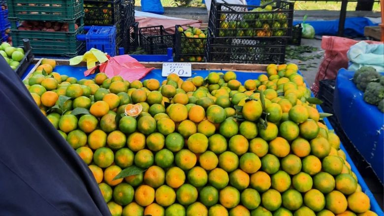 Balıkesir Cumartesi Pazarı Güncel Fiyatlar