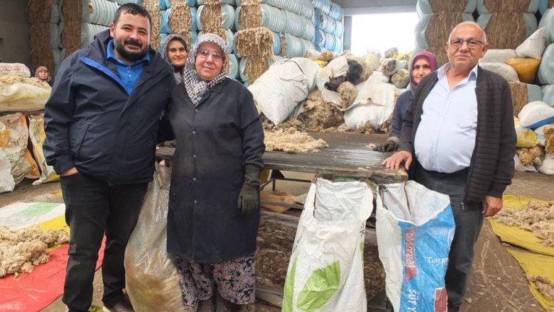 Balıkesir Kuzusunun Yünü Ülkeye Döviz Getirecek