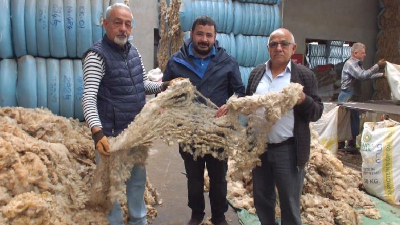 Balıkesir Kuzusunun Yünü Ülkeye Döviz Getirecek