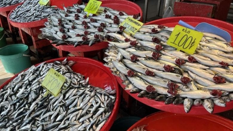 Balıkesir'de Balık Tezgahlarını Hamsi Dolduruyor