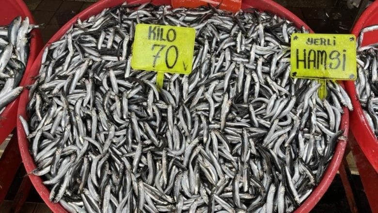 Balıkesir'de Balık Tezgahlarını Hamsi Dolduruyor