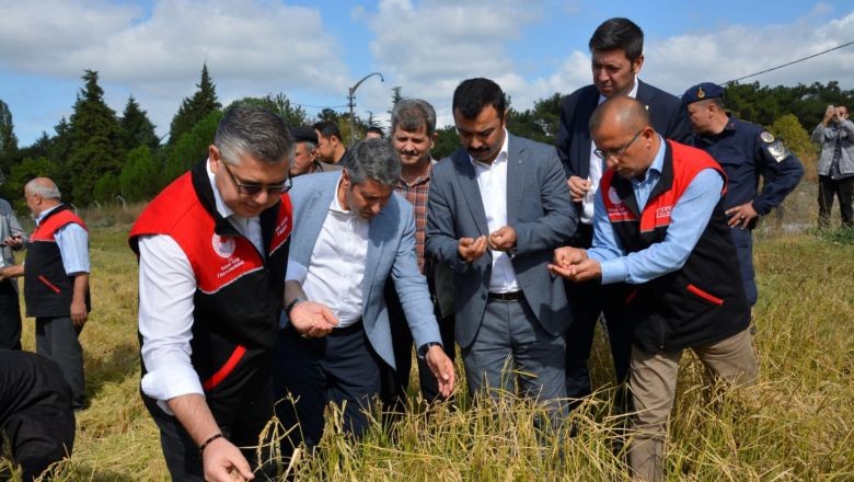 Balıkesir’de Bir İlk! Hasadı Bakın Nasıl Yaptılar