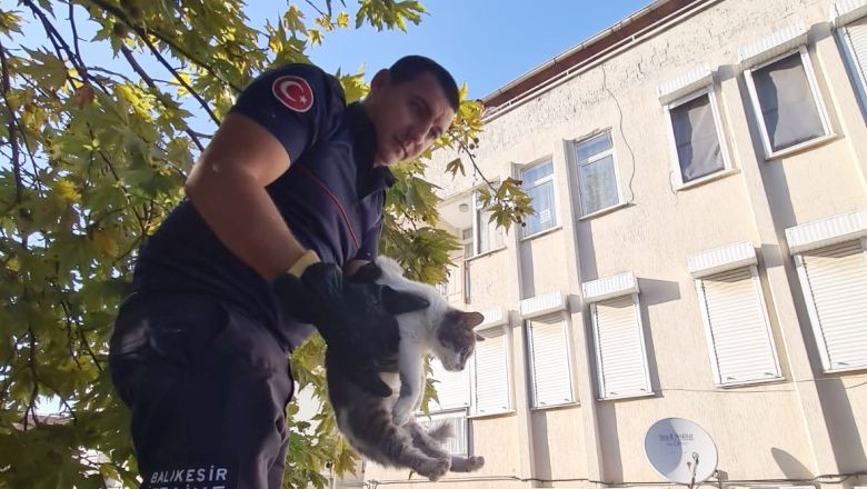 Balıkesir’de Kimi Kuyuya Düştü Kimi Ağaçta Mahsur Kaldı