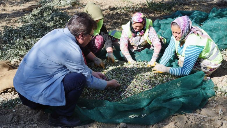 Balıkesir'de Yeni Hedef: 30 Ton Yağ Üretimi