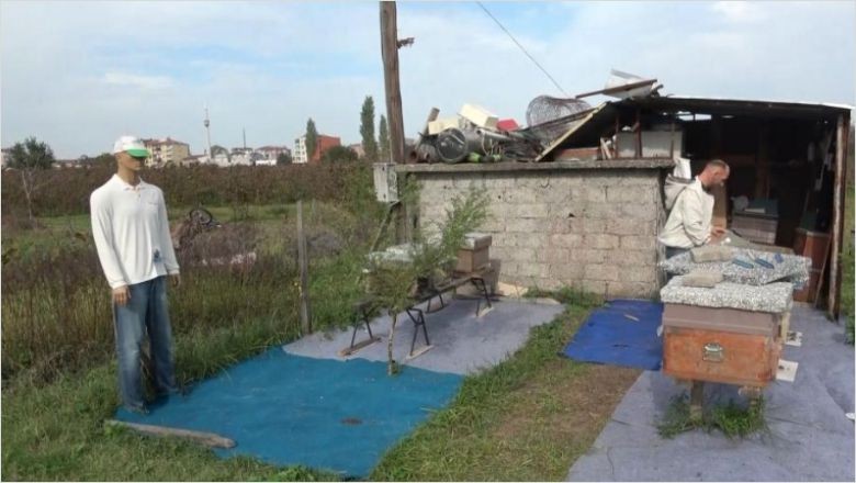 Görünce Şaşıracaksınız! İlginç Arı Kovanları Arasında Cansız Mankende Var