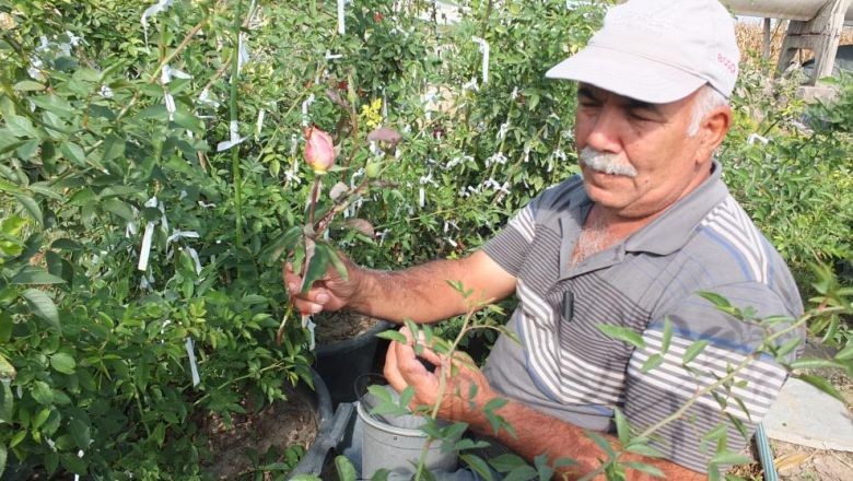 İşte O İsim Balıkesir'e Renk Katıyor