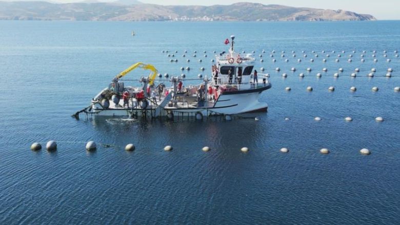 Türkiye'de Midyenin Ana Vatanı Balıkesir