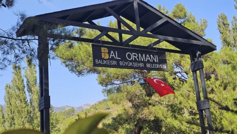 Türkiye’nin En Büyük Bal Ormanı Kazdağları’nda