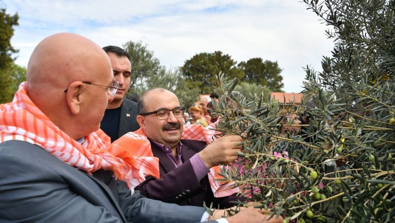 Vali Ustaoğlu Zeytin Dalından Bereketi Topladı