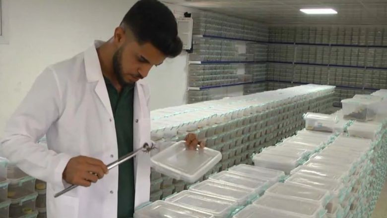 Türkiye Çiftliğinden Dünyaya... Gramı 10 Bin 500 Dolar!