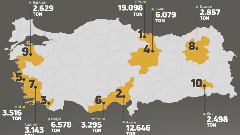 Balıkesir’in Balı Kesîr Olduğu Tescili…