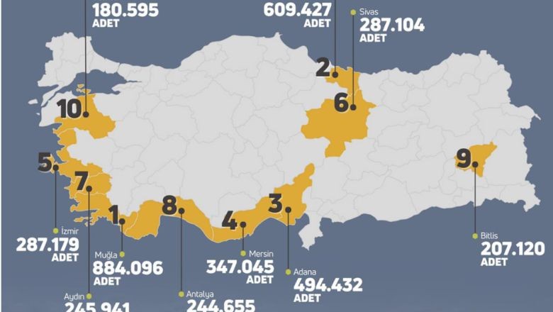 Balıkesir’in Balı Kesîr Olduğu Tescili…